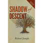 Shadow of Descent