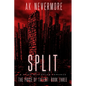 Split: A Spicy Dystopian Romance