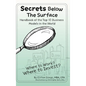Secrets Below The Surface - Handbook of the Top 10 Business Models in the World: Where to Work? Where to Invest?
