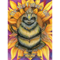 The Star Father's Gift: A Story from the Bees