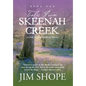 Tales From Skeenah Creek: A Civil War Historical Fiction Novel