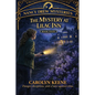 The Mystery at Lilac Inn