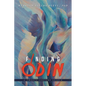 Finding Odin: A Twenty Century Search