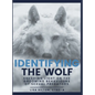 Identifying The Wolf: Shedding Light on the Grooming Behaviours of Sexual Predators
