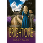 Bright One: Bright One Series: Book One