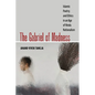 The Gabriel of Madness: Islamic Poetry and Ethics in an Age of Hindu Nationalism Volume 7
