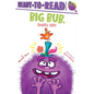 Big Bub, Small Hat: Ready-To-Read Ready-To-Go!