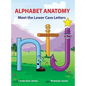 Alphabet Anatomy: Meet the Lower Case Letters