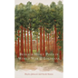 Beneath Heavy Pines in World War II Louisiana: The Japanese American Internment Experience at Camp Livingston