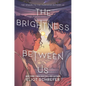 The Brightness Between Us