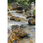 Walden