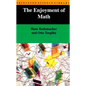 The Enjoyment of Math