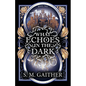 What Echoes in the Dark