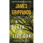 A Death in Live Oak: A Jack Swyteck Novel