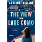 The View from Lake Como