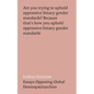 Lesbian Feminism: Essays Opposing Global Heteropatriarchies