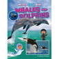 My First Big Book of Whales and Dolphins