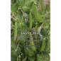 Sweet Peas - Their History, Development & Culture