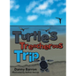 Turtle's Treacherous Trip