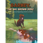 Barney, The Big Brown Dog!: Barney, an orphaned dog looking to find his new family