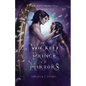 Wicked Prince of Mirrors: A Villain Gets the Girl Romantasy