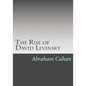 The Rise of David Levinsky