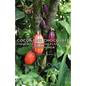 Cocoa and Chocolate - Their History from Plantation to Consumer