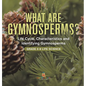 What are Gymnosperms? Life Cycle, Characteristics and Identifying Gymnosperms Grade 6-8 Life Science