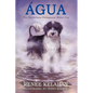 Agua, the Mysterious Portuguese Water Dog