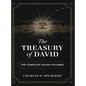 The Treasury of David: The Complete Seven Volumes (Grapevine Edition)