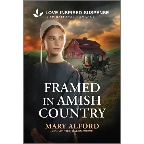 Framed in Amish Country