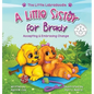 A Little Sister for Brady: A Story About Accepting & Embracing Change