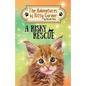 A Risky Rescue: The Adventures of Kitty Corner Book 1
