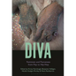 Diva: Feminism and Fierceness from Pop to Hip-Hop