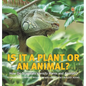 Is It a Plant or an Animal? How Do Scientists Identify Plants and Animals? Compare and Contrast Biology Grade 3 Children's Biology Books