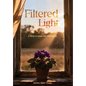 Filtered Light: A Novel of Grace and Redemption